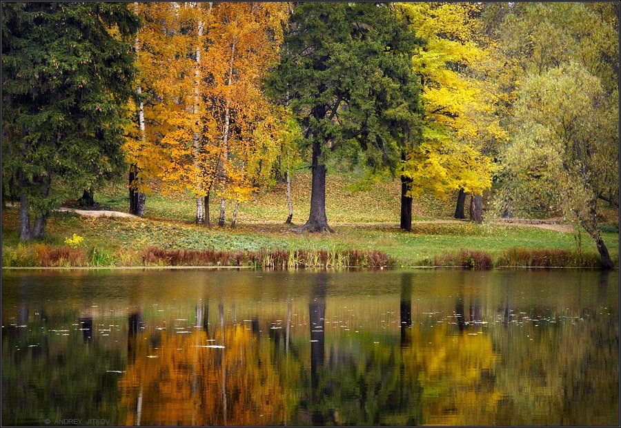осень, октябрь, пейзаж, Андрей Житков