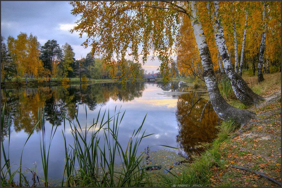 осень, октябрь, пейзаж, вечер, закат, Андрей Житков