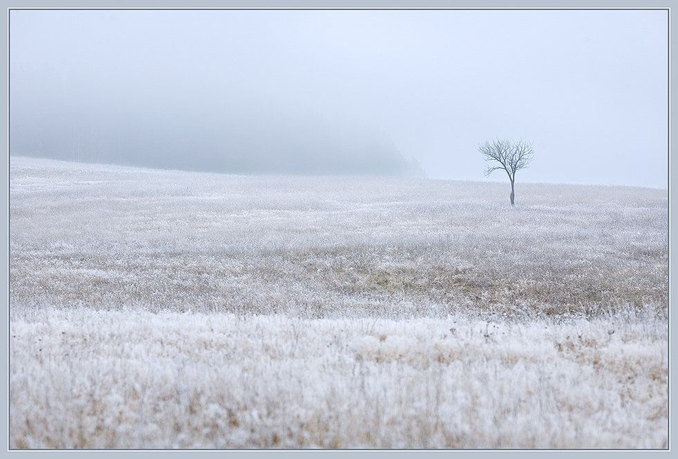 утро, туман, изморозь, уже прохладно..., izh Diletant (Валерий Щербина)