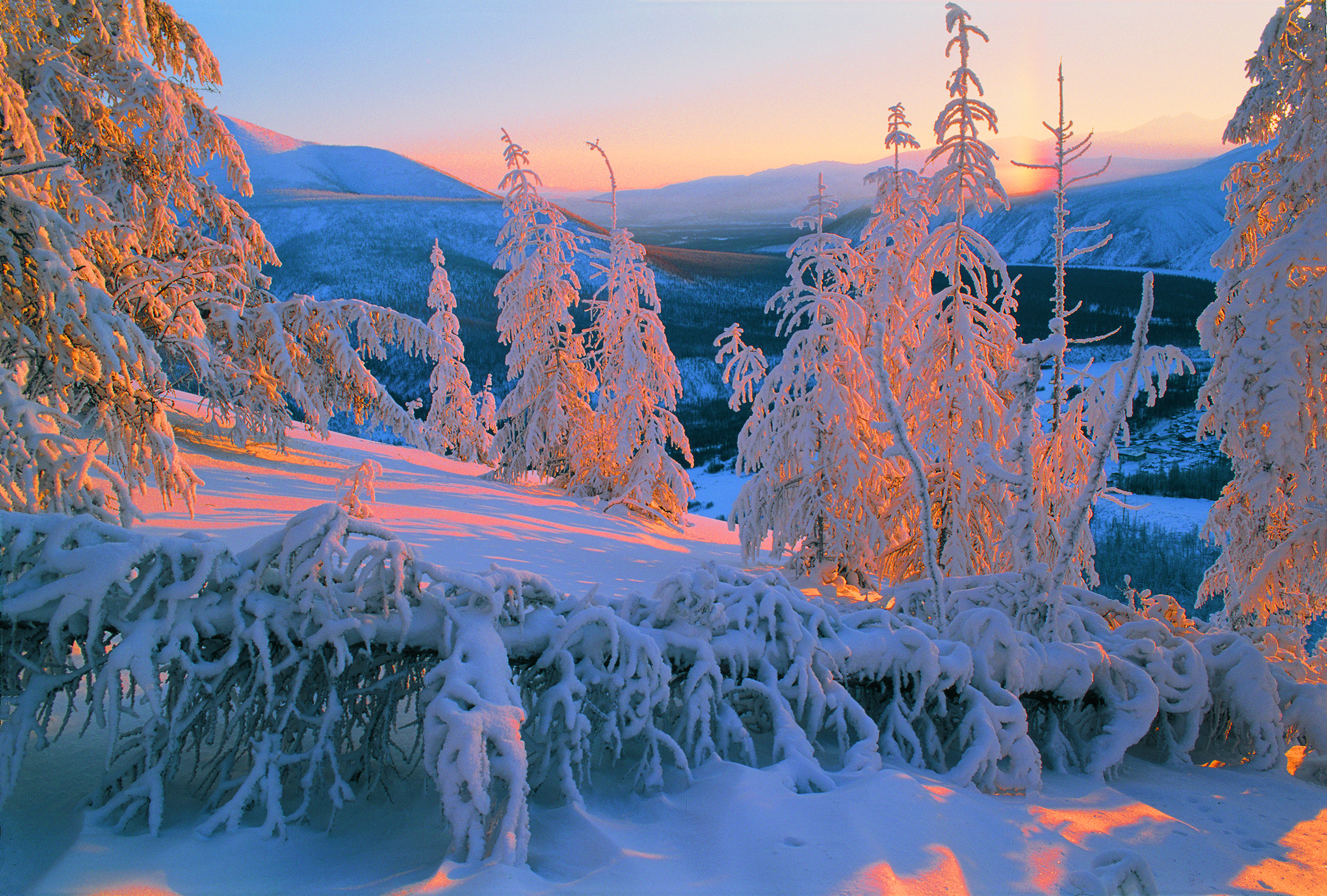 Якутские зимние. Саха Якутия зима. Лето и зима Якутии природа. Якутия природа зима.