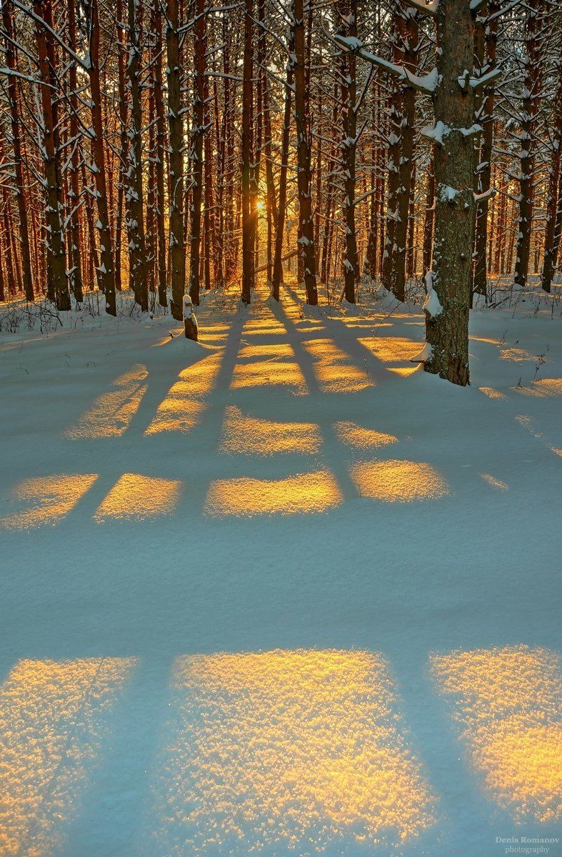 #природа #зима #лес #пейзаж #закат #nature #landscape #snow #winter #forest, Romanov Denis