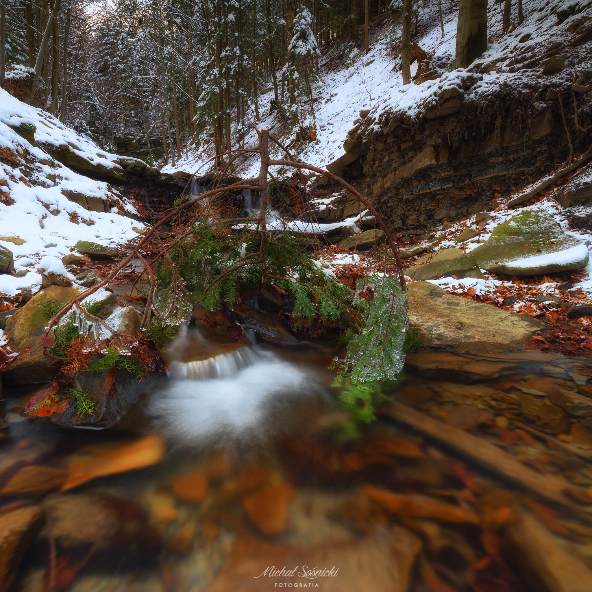 #poland #benro #benq #haida #winter #snow #tree #nature #river, Michał Sośnicki