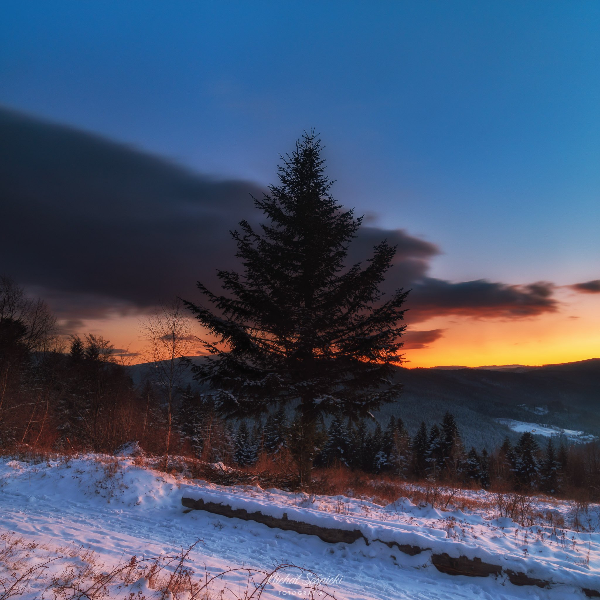 #poland #benro #benq #haida #winter #snow #tree #nature #sunset, Michał Sośnicki