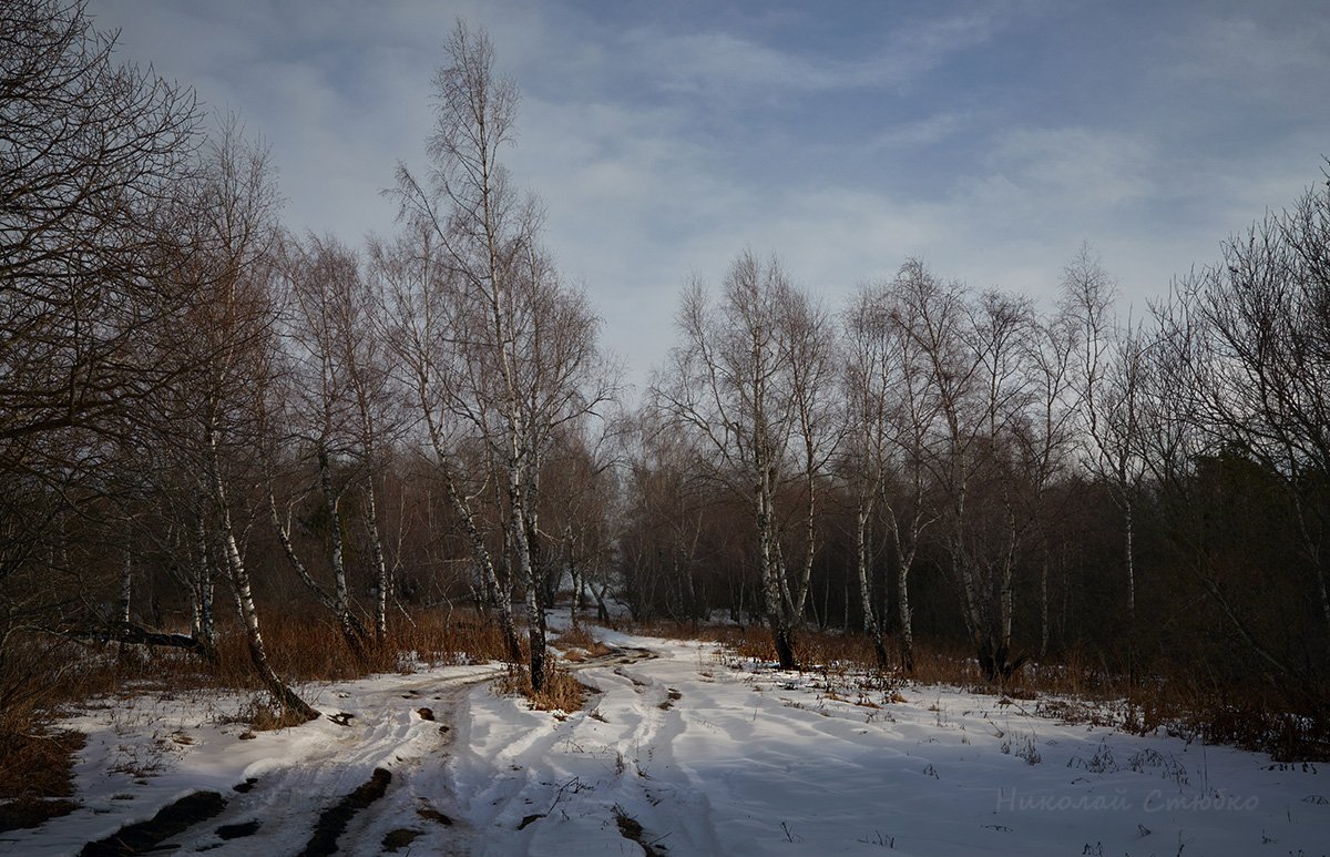 кавказ горы лес зима, Николай Стюбко