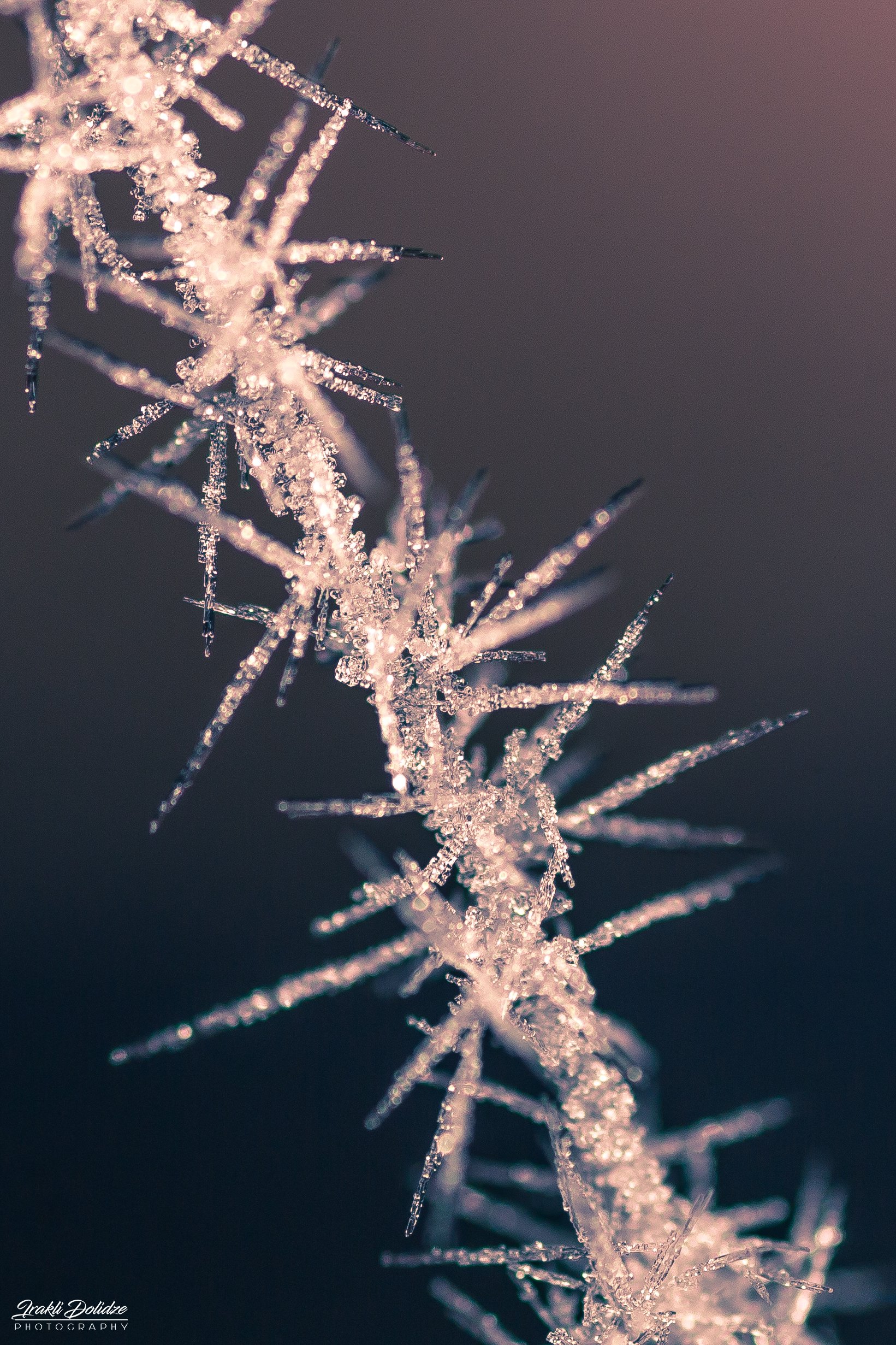 macro, crystals, water, ice, photography, cold, frozen, weather, winter, ირაკლი დოლიძე