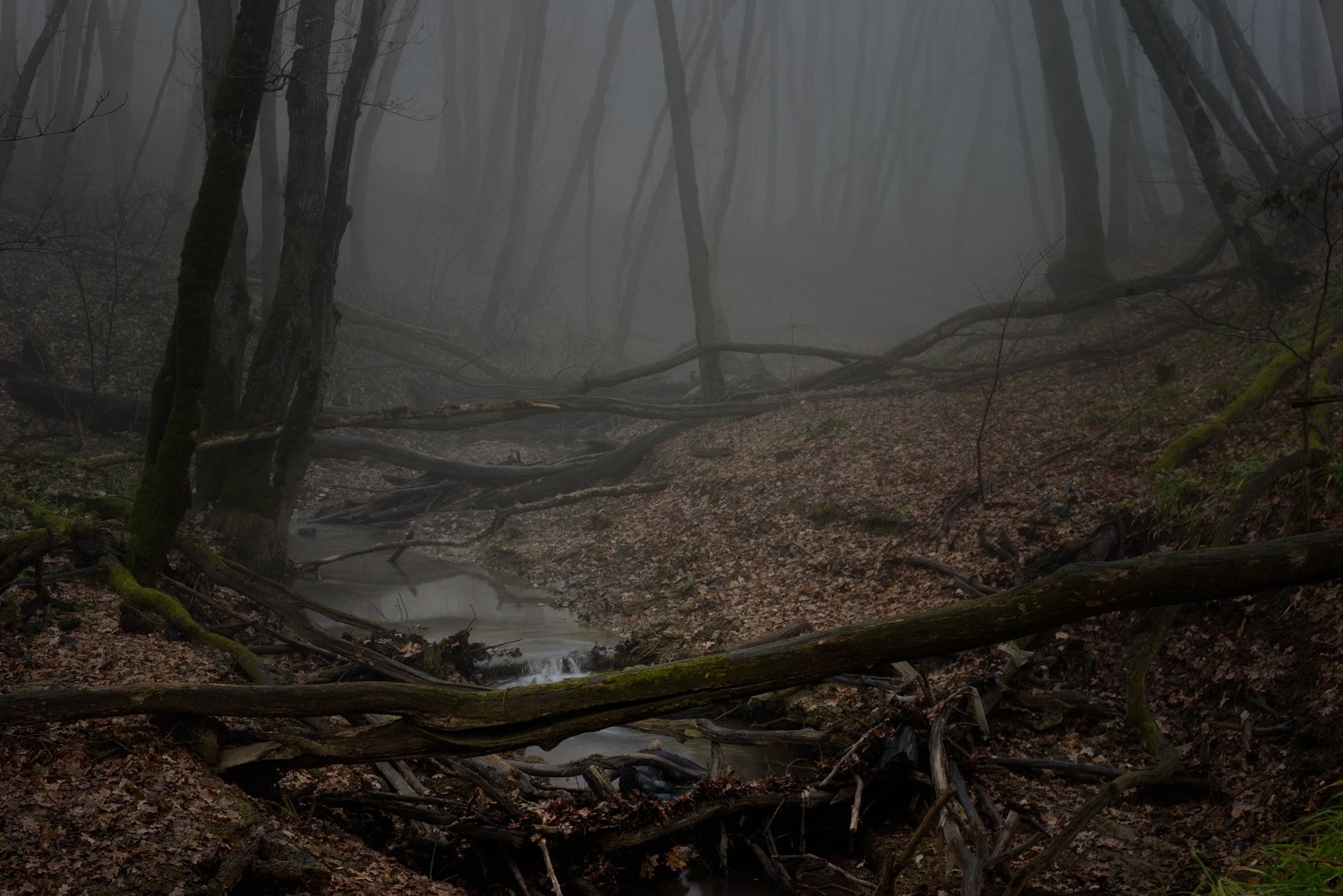 зима туман лес утро ручей, Александр Жарников
