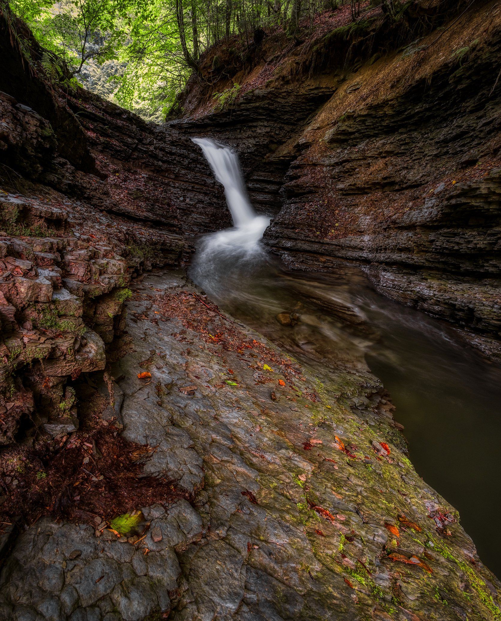 пейзаж, водопад, ручей, вода, лес, лето, карпаты, landscape, waterfall, stream, water, forest, summer, karpaty, Stanislav Yendrek