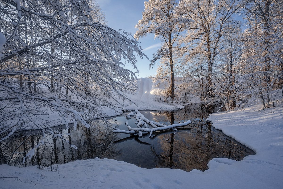 природа утро зима снег река деревья, Михаил Корнилов