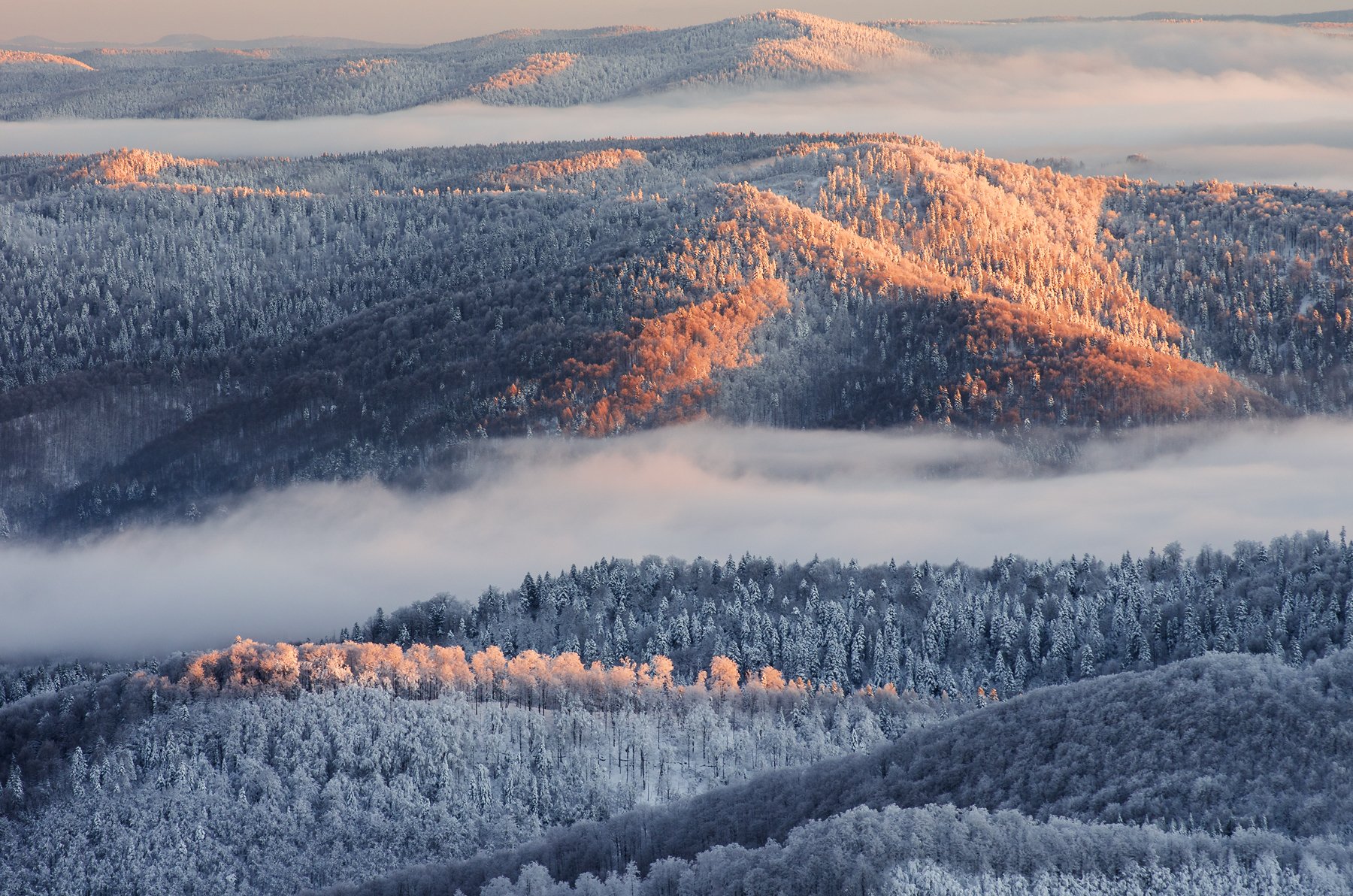 Bieszczady, winter, snow, National, Park, Poland, mountais, forest, fog,  Mirek Pruchnicki