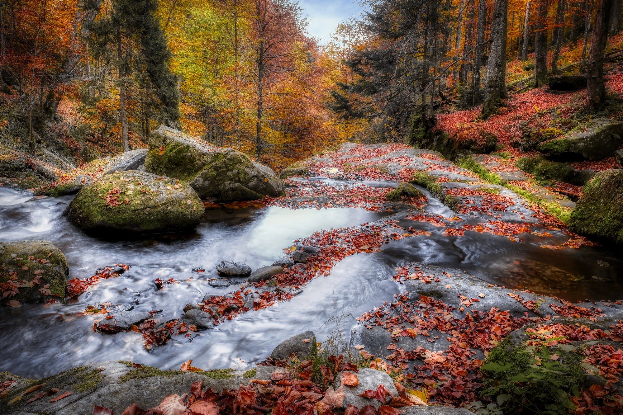 пейзаж, осень, лес, ручей, вода, карпаты, landscape, autumn, forest, stream, water, karpaty, Stanislav Yendrek
