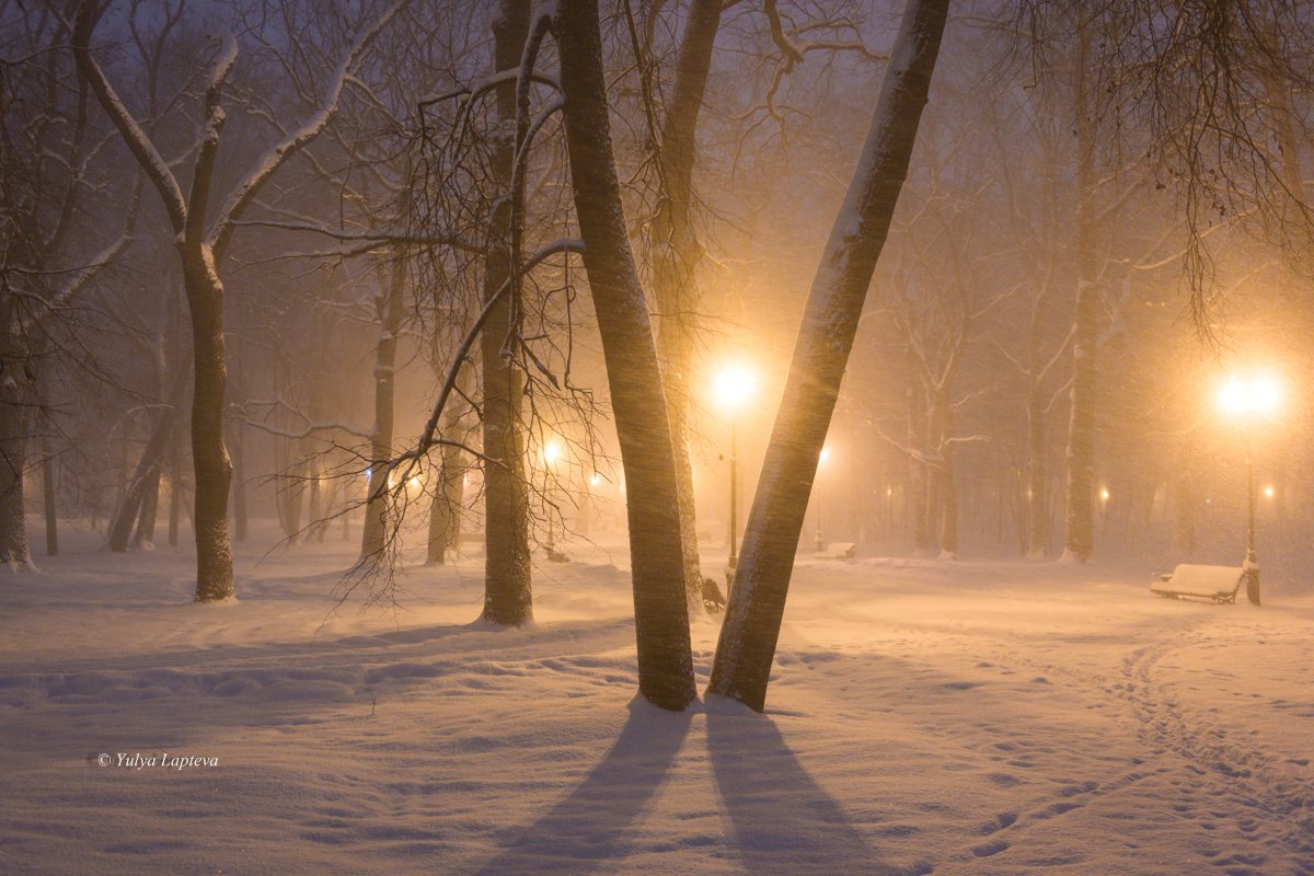 роосия,зима,январь,брянск,метель,туман,вечер, Юлия Лаптева