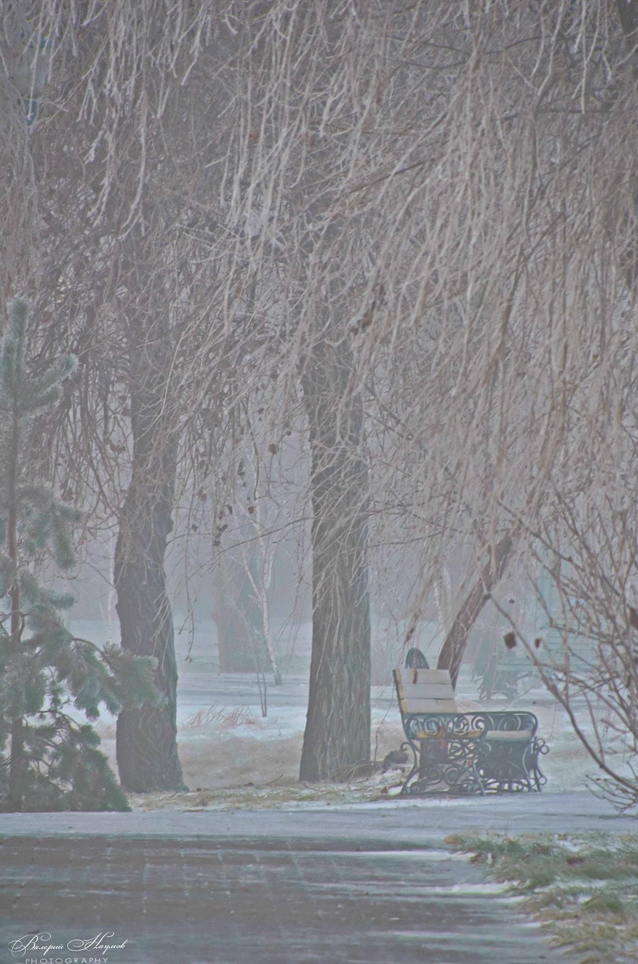 зима, январь, снег, туман, скамейка, парк, Валерий Наумов