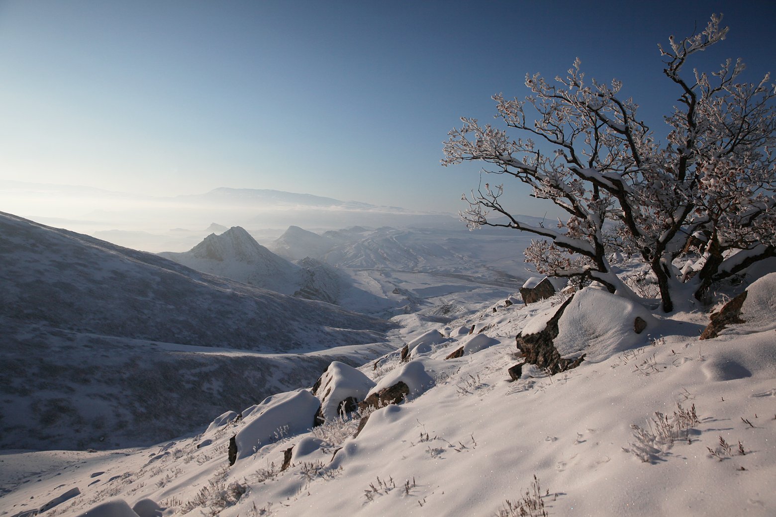 зима,горы,вершины,пейзаж,небо,деревья,дагестан,природа, Marat Magov