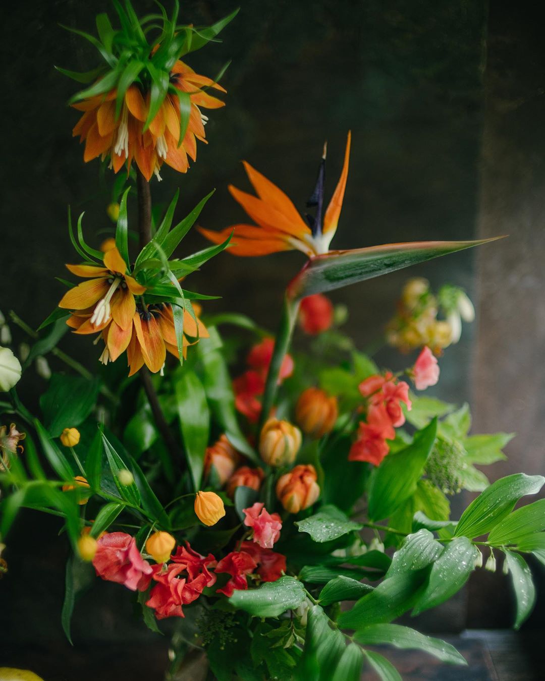 натюрморт, букет, цветы, оранжевый, красный, Анастасия Зубкова