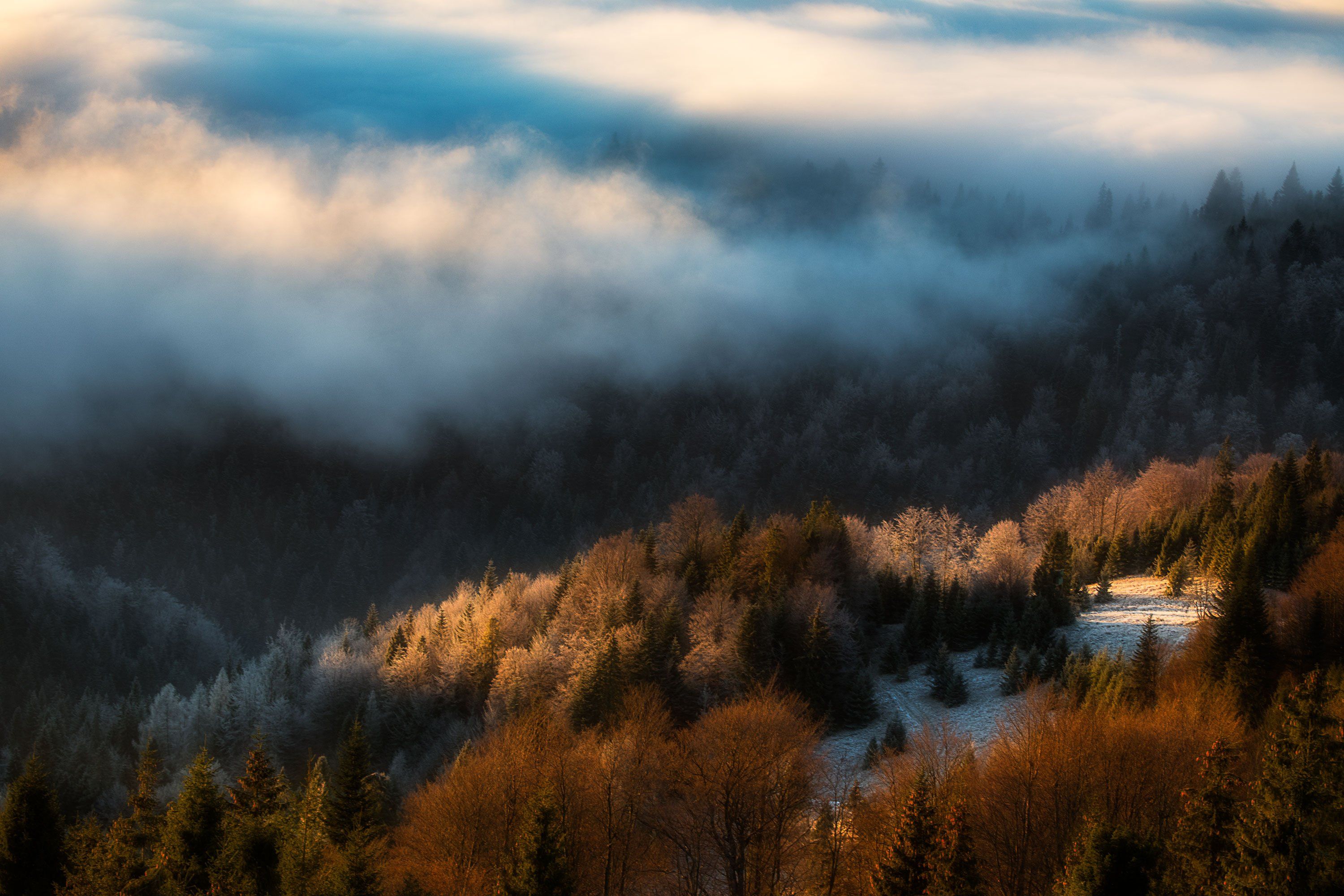 #landscape #fog #sunrise #poland #gorce, Andrzej Kubatek