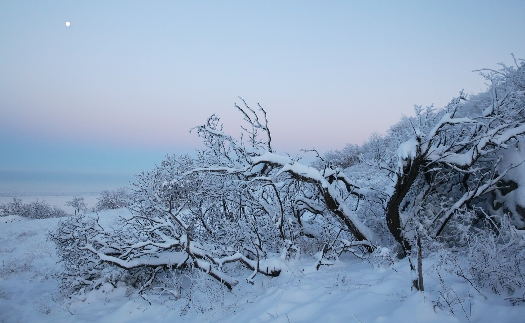 снег,зима,горы,вершины,пейзаж,небо,деревья,дагестан,природа, Marat Magov