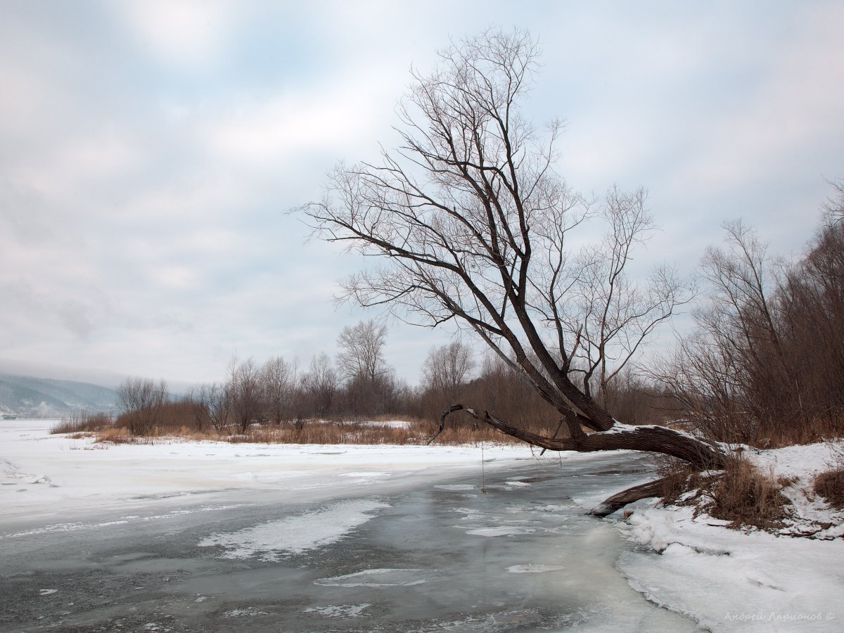 зима, река, пейзаж, лёд, Волга, Андрей Ларионов