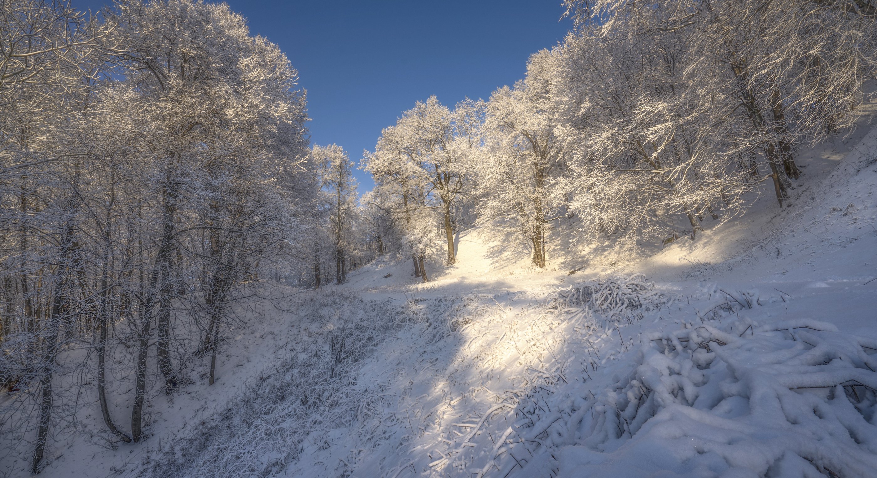 зима мороз солнечный день, Андрей Колесов