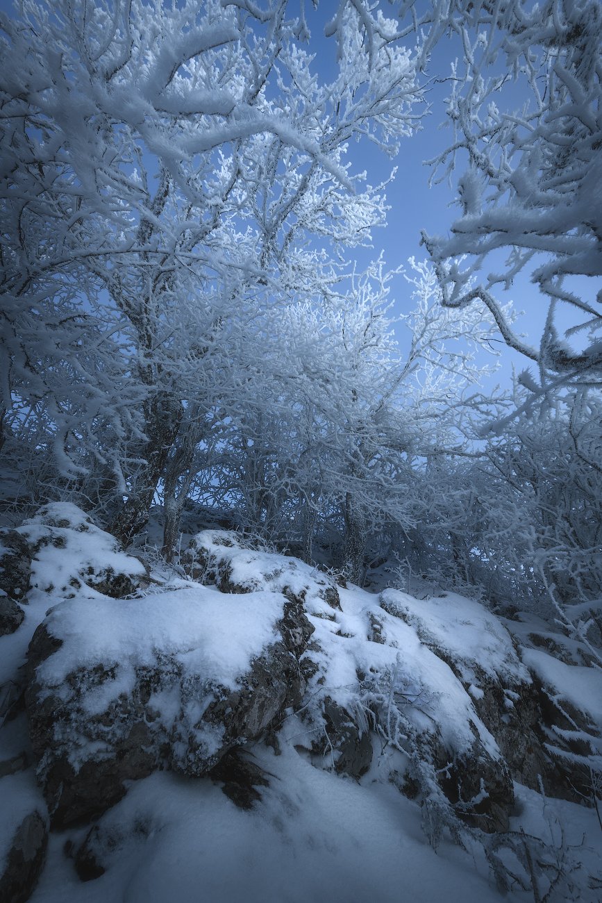 Крым зима мороз горы лес снег сказка, Алексей Агеев