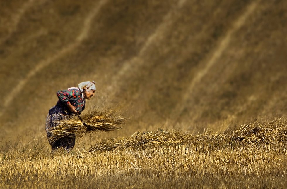 , Erol AYYILDIZ