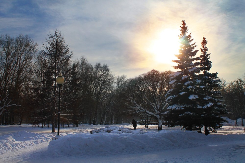 зима, теплый день, январь, парк, Курочкина Диана