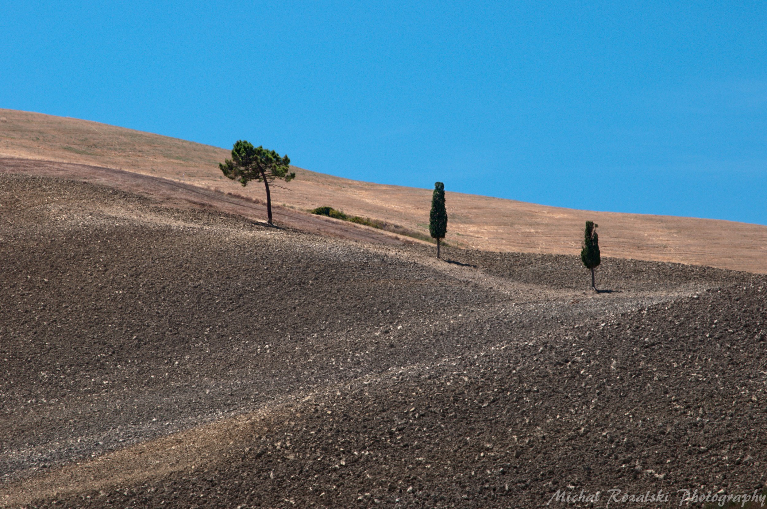 cypress, ,tree, ,hills, ,blue, ,sky, ,tuscany, ,landscape, Michal Rozalski