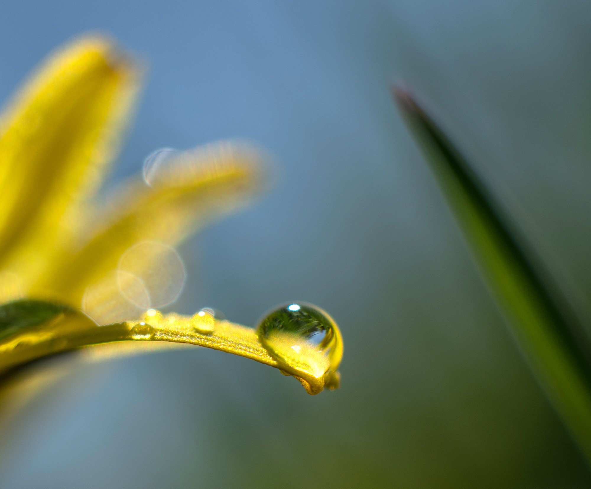 macro, Юрий Чернов