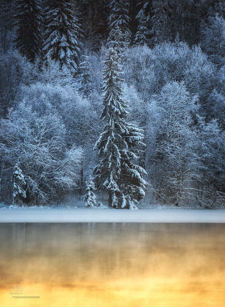 tree.forest,frozen.fog,steam,snow,norway,wintertime,winter, Adrian Szatewicz