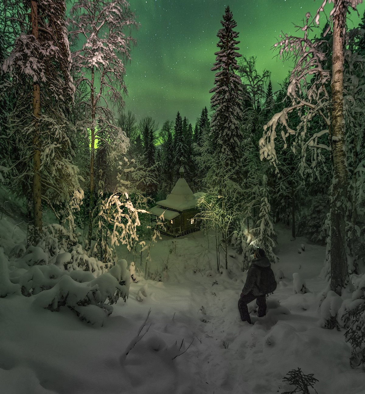 архангельская обасть, ночное фото, лес, русский север, северное сияние, Михаил Карпов