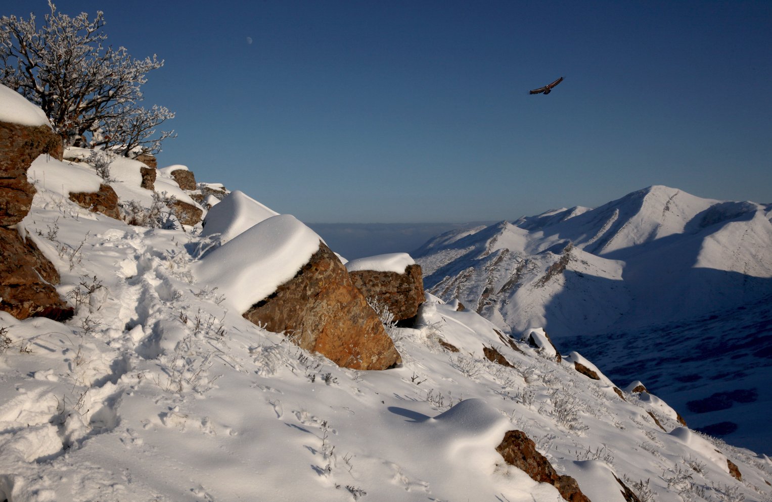 Зима в дагестане. Махачкала природа зима гора. Море Дагестана зимой. Махачкала зимой каньон зимний. Лучшие фото пейзажи зима Дагестана.