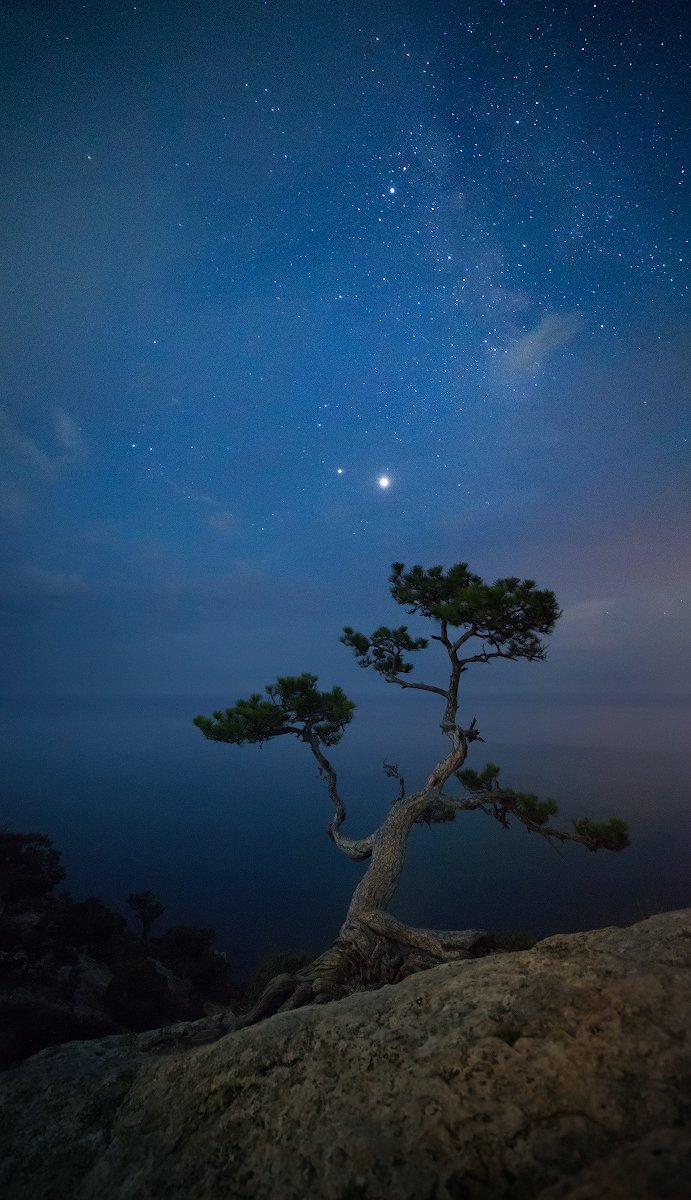 , Романский Владимир (NikonZoom)