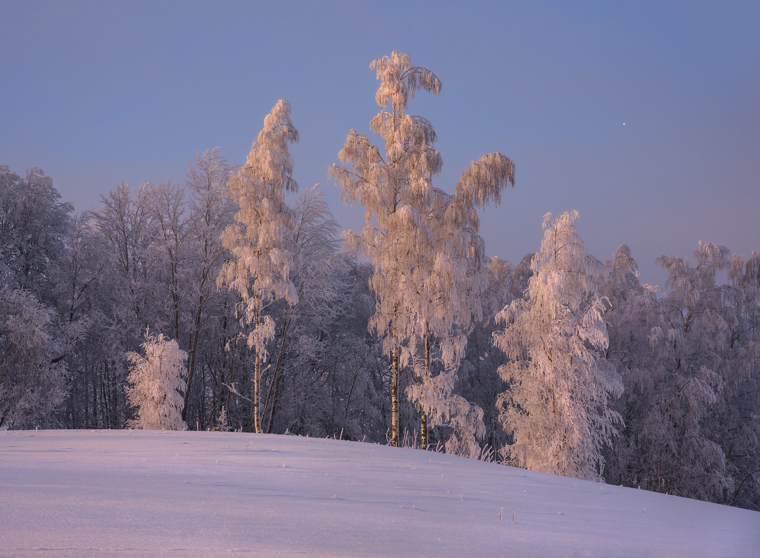 Estonia, winter, winterlandscape, landscape, snow, snowy, frost, nature, Vjacheslav Simanovich