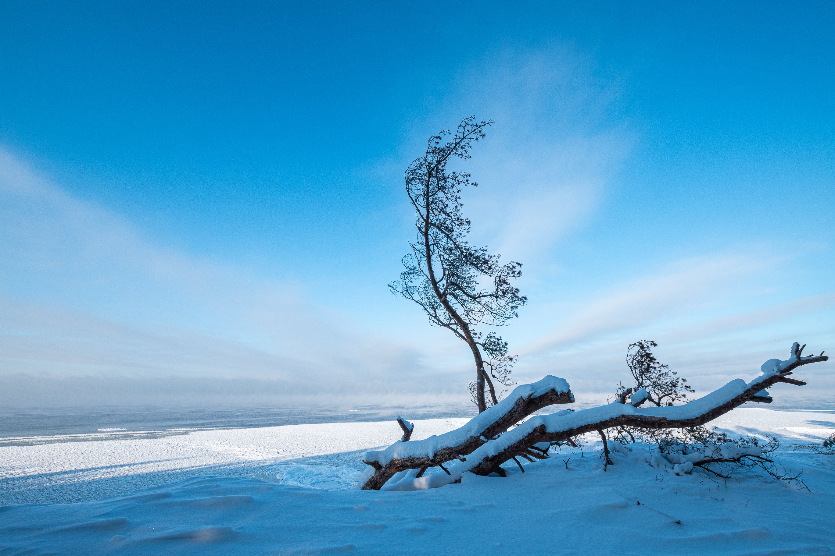 зима снег пейзаж дерево море , Дмитрий Рябцев