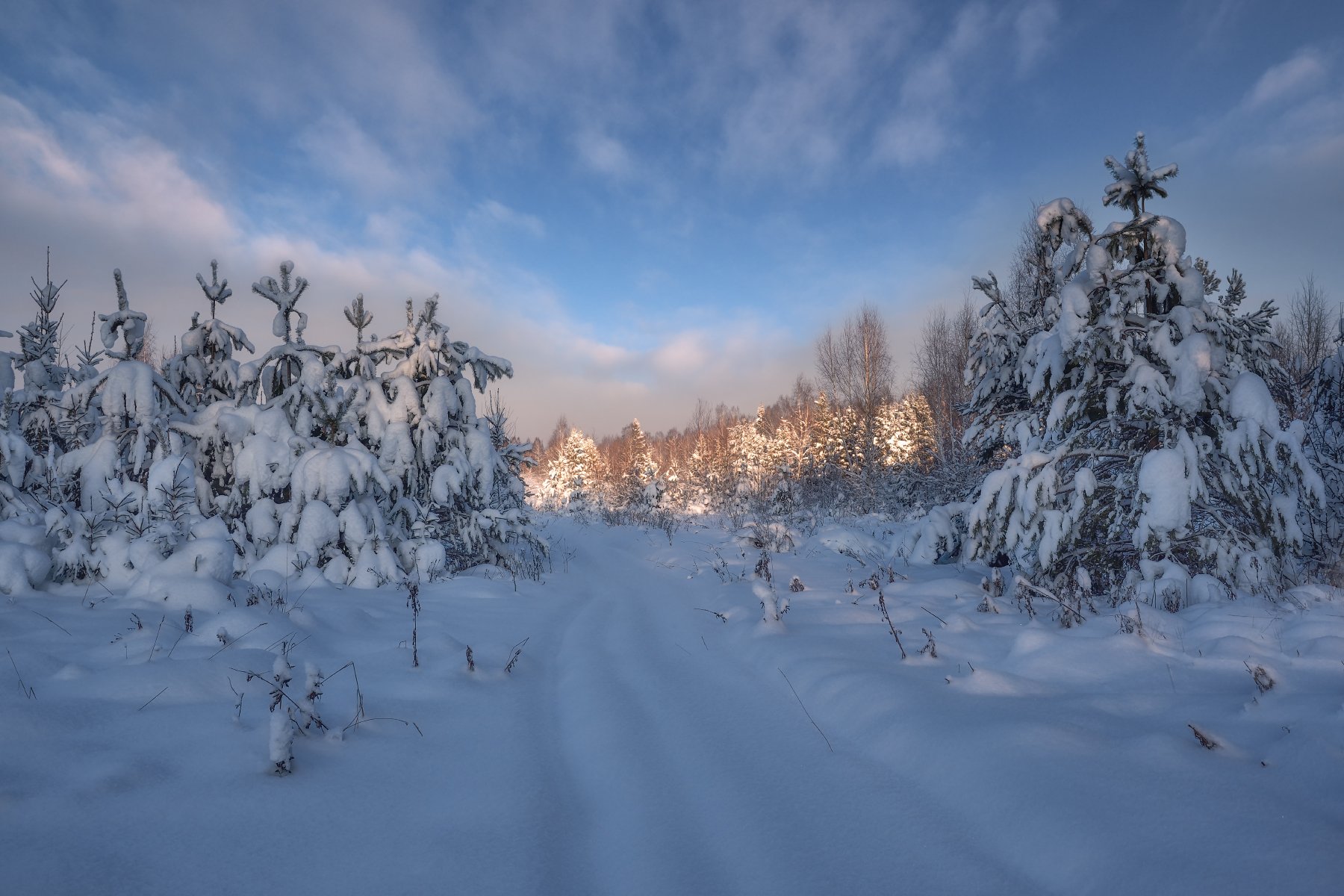 зима,утро,снег,деревья,свет,небо,облака,мороз, Виталий Полуэктов