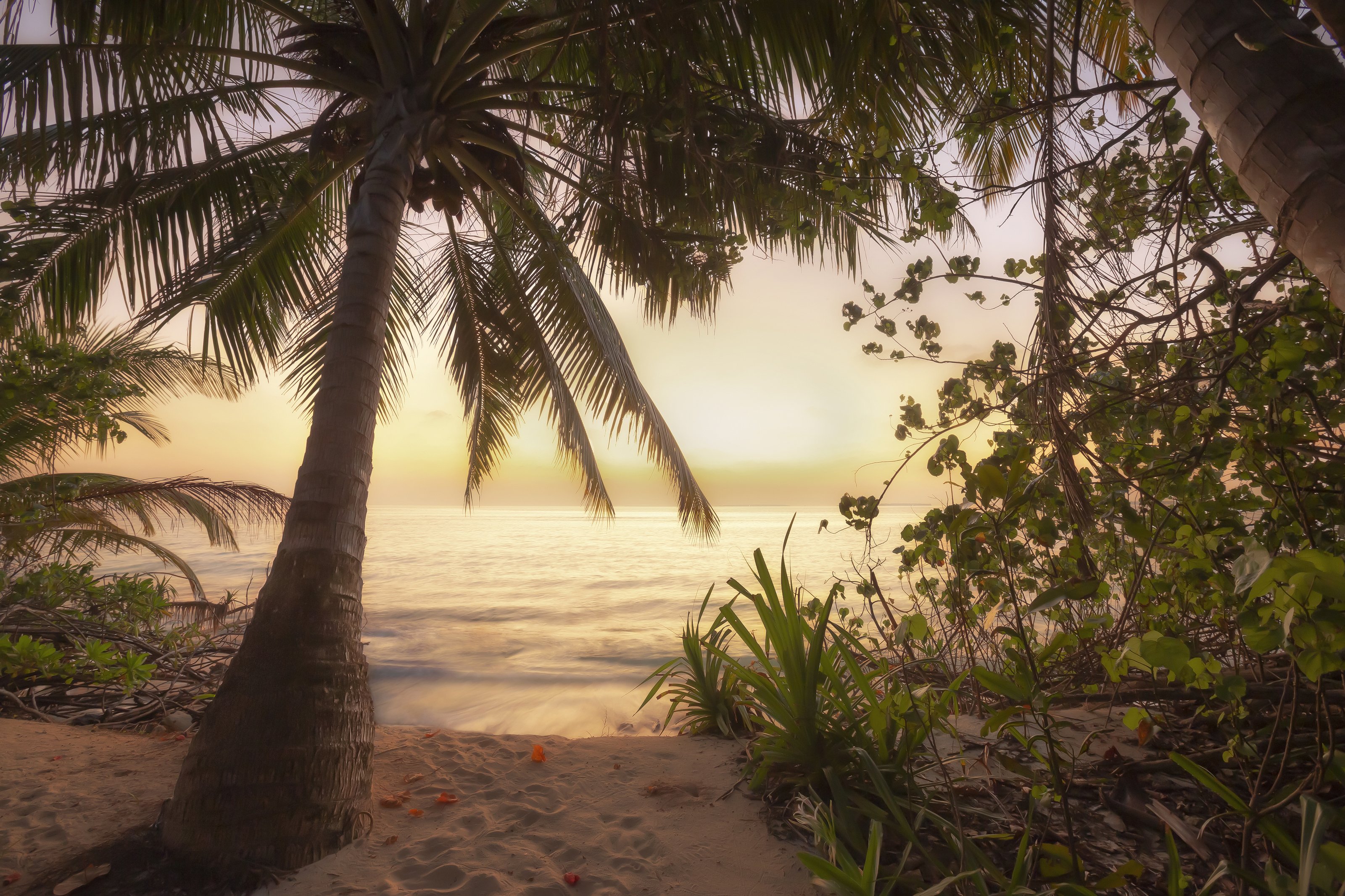 sunrise, maldives, ocean, paradise, мальдивы, рассвет, coco palm dhuni kolhu, Андрей Чабров
