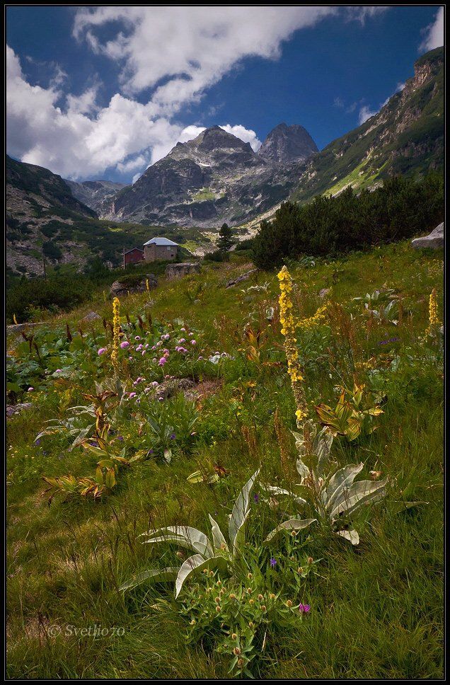 bulgaria, rila, Svetoslav