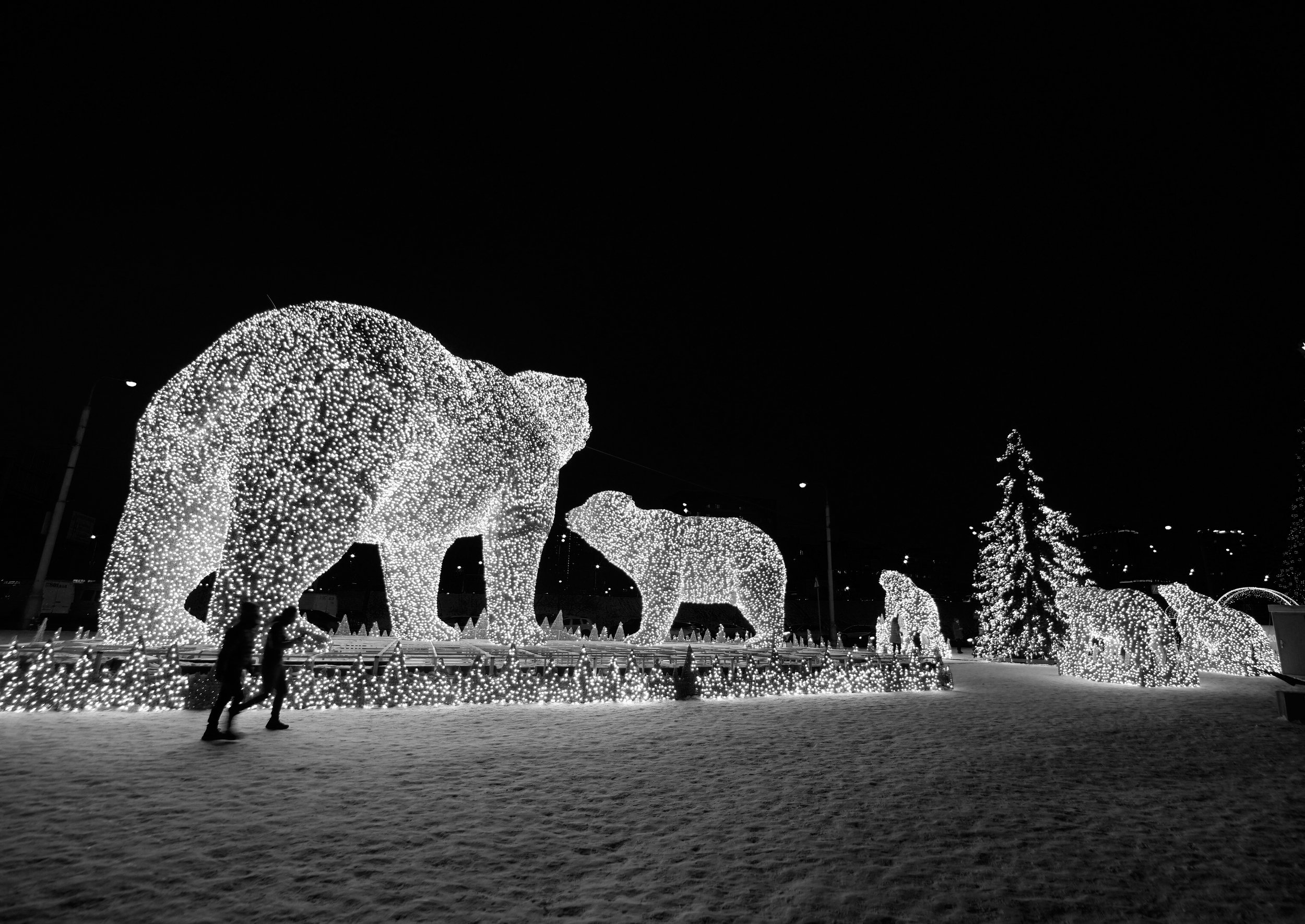  иллюминация, ночь, новый год, медведи, светящиеся медведи, Дмитрий Ткаченко