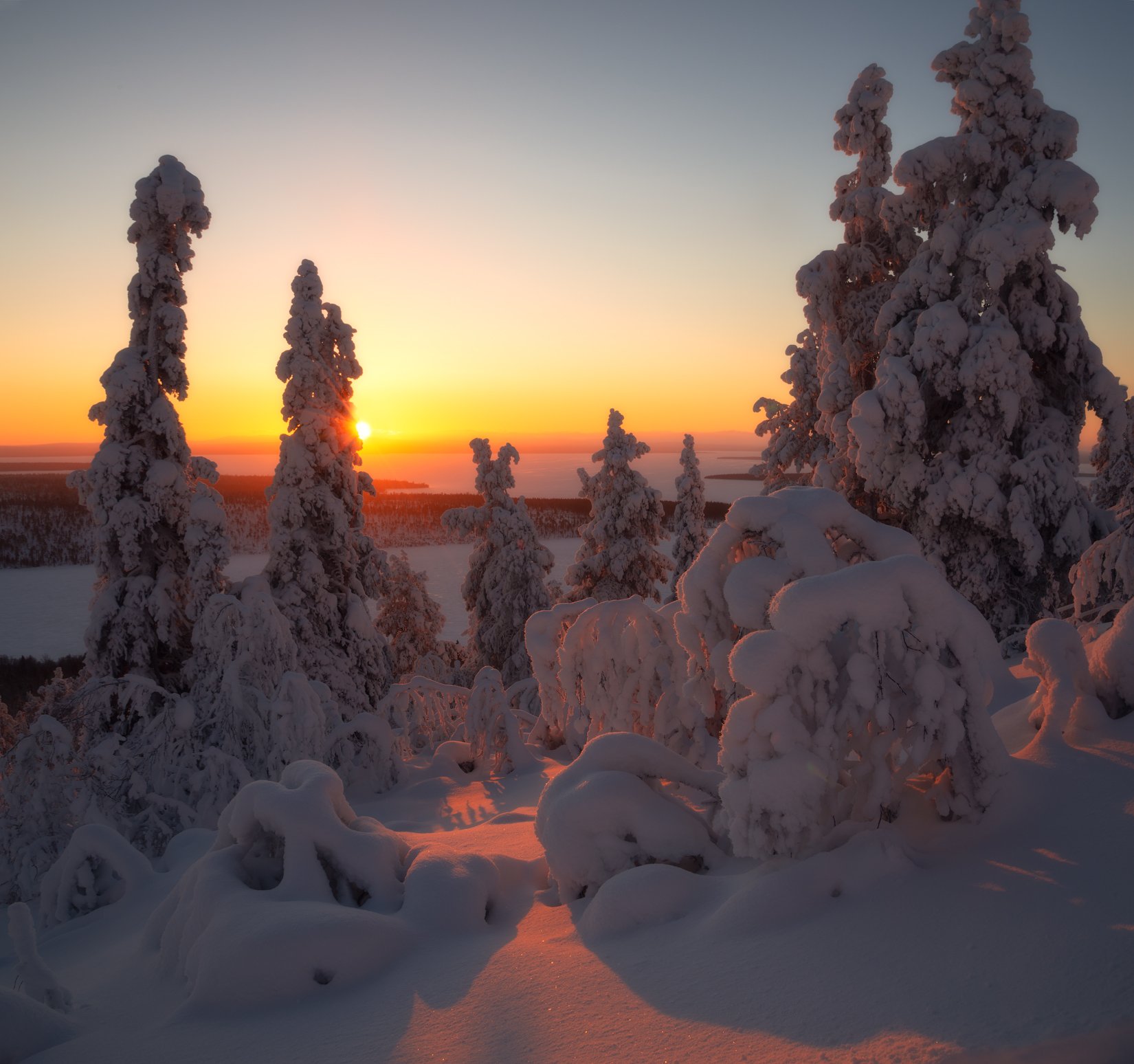 пейзаж,лес,снег,свет,закат,россия,кольский,север,зима,имандра, Виталий Истомин