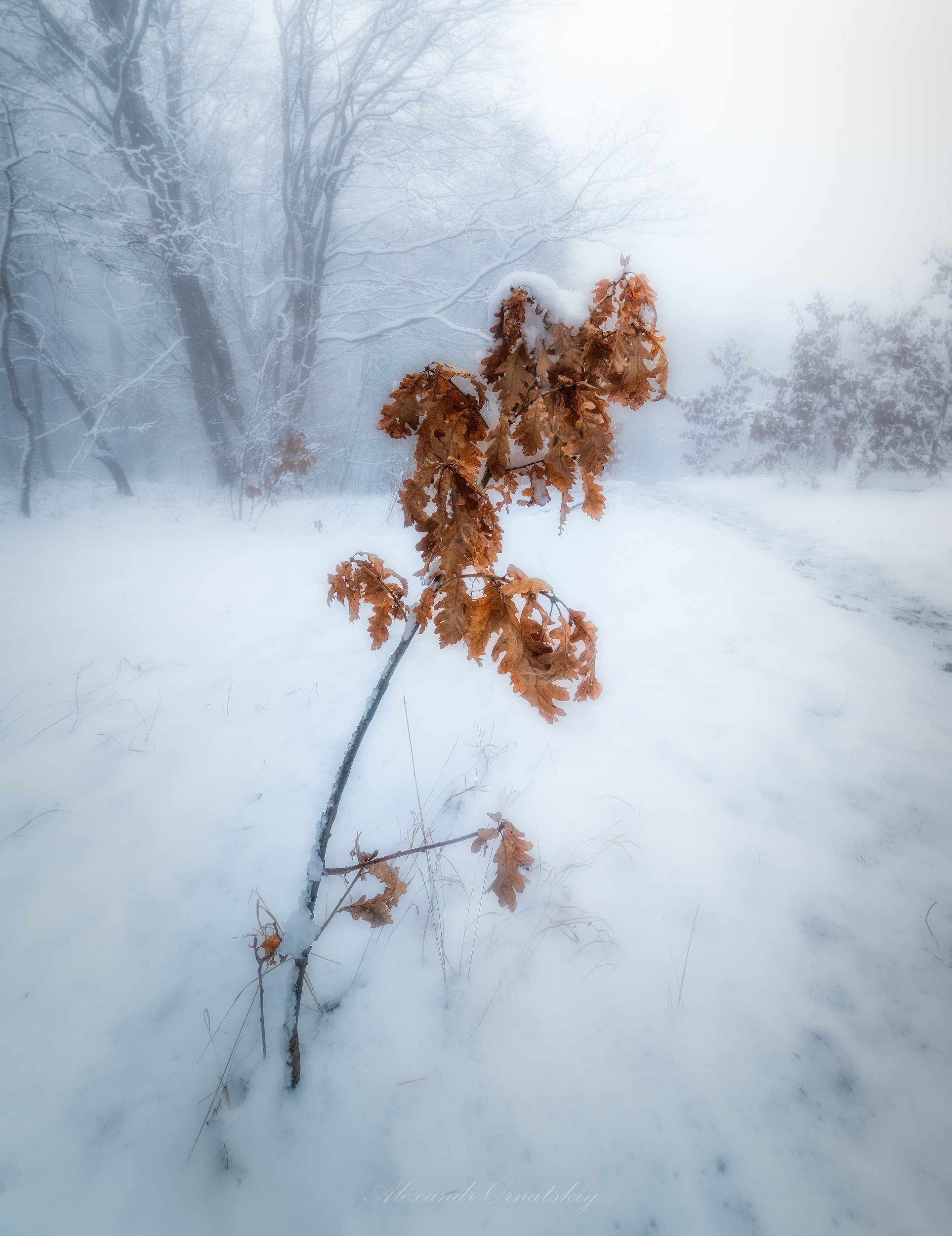 , Александр Орнатский