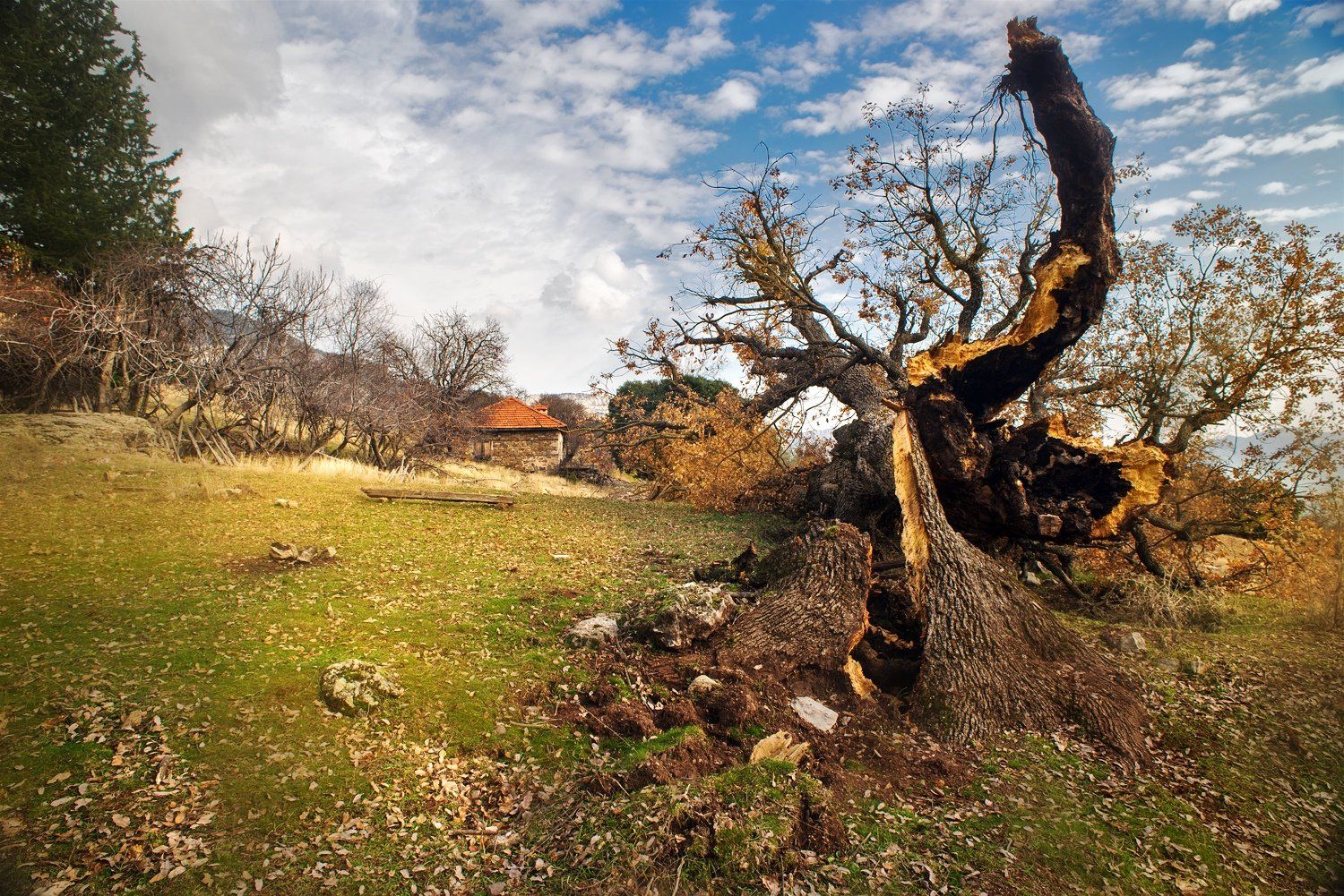 ликийская тропа, турция, зима, Евгений Никитин