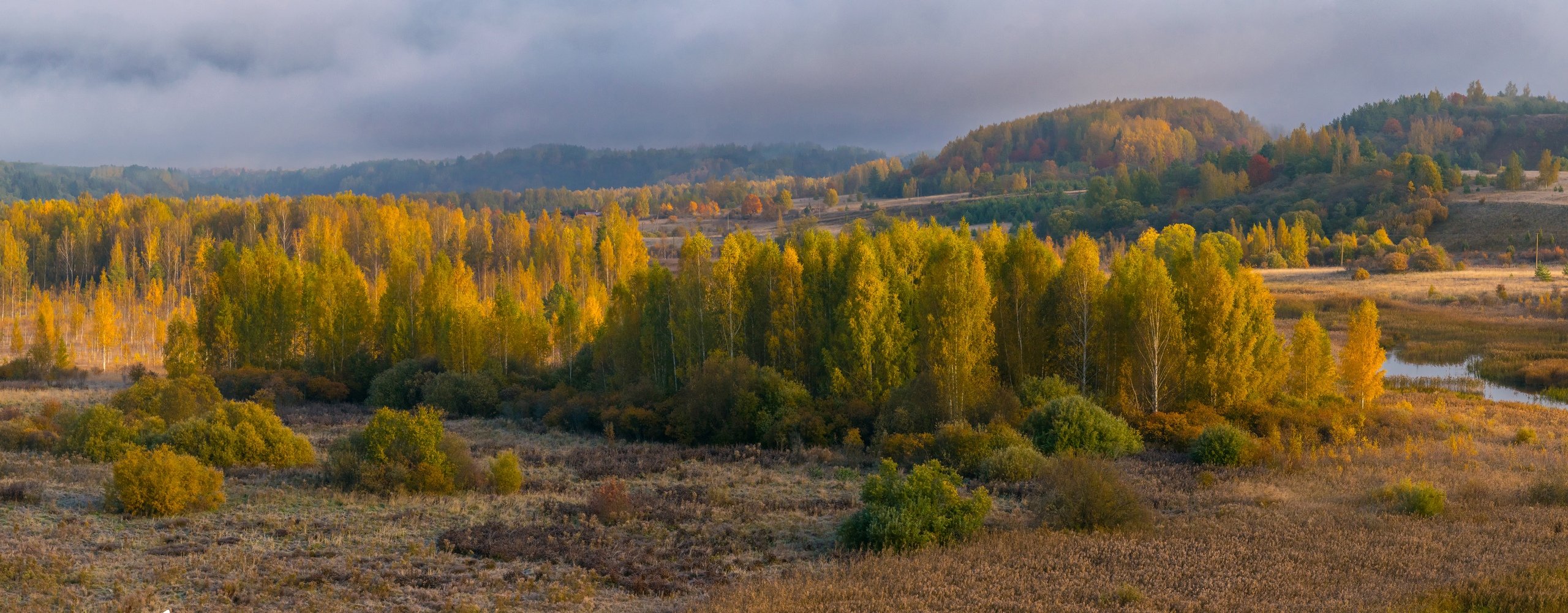 Изборск, Псков, осень, листья, листва, природа, деревья, небо, Мержанов Дима