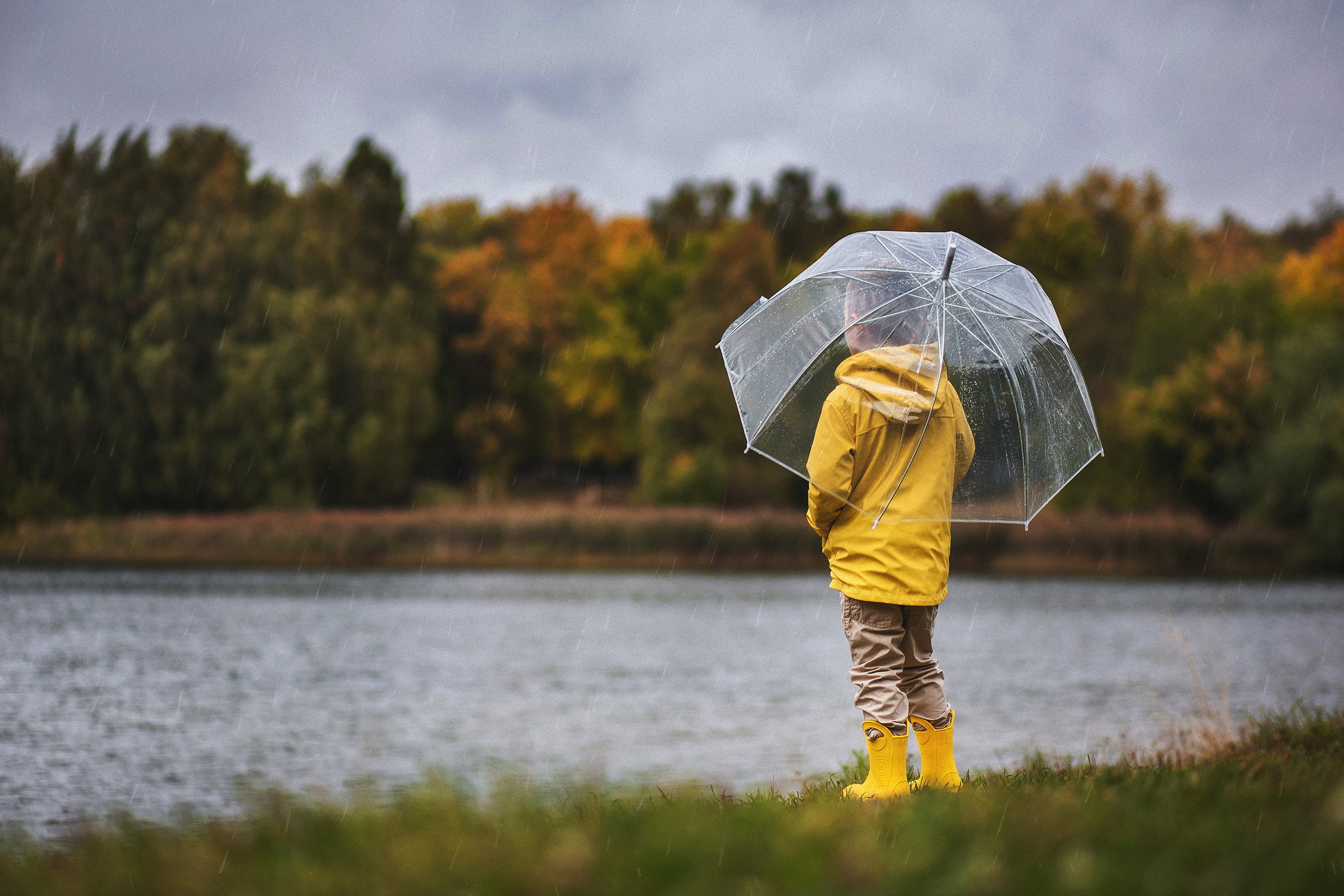 осень, зонт, прозрачный, желтый, дождь, октябрь, капли, водонепроницаемый, сапоги, оеро, парк, природа, берег, водоем, Мила Шелест