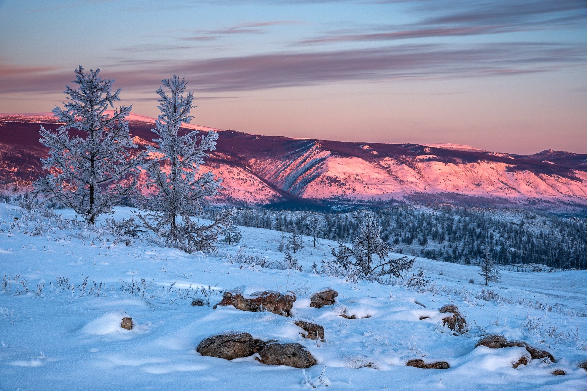 зима, снег, горы, тажеранская степь, Алексей Чекалев