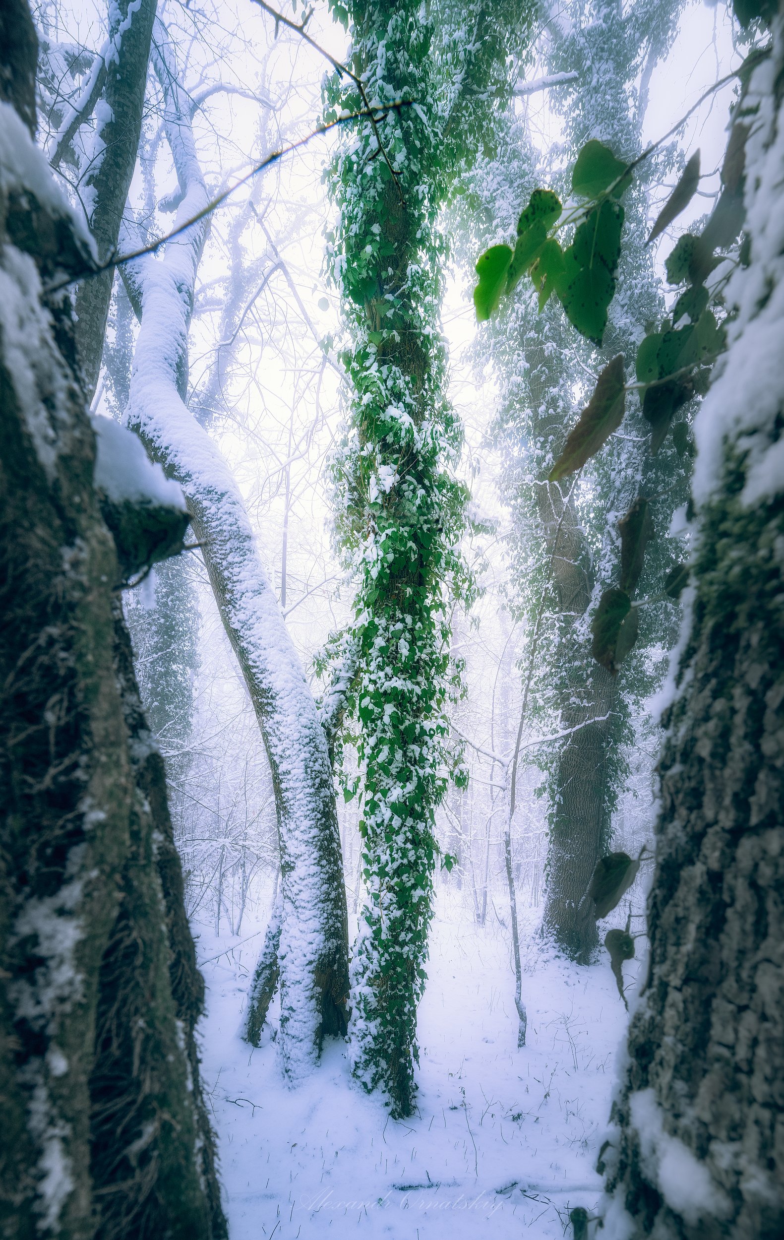 , Александр Орнатский