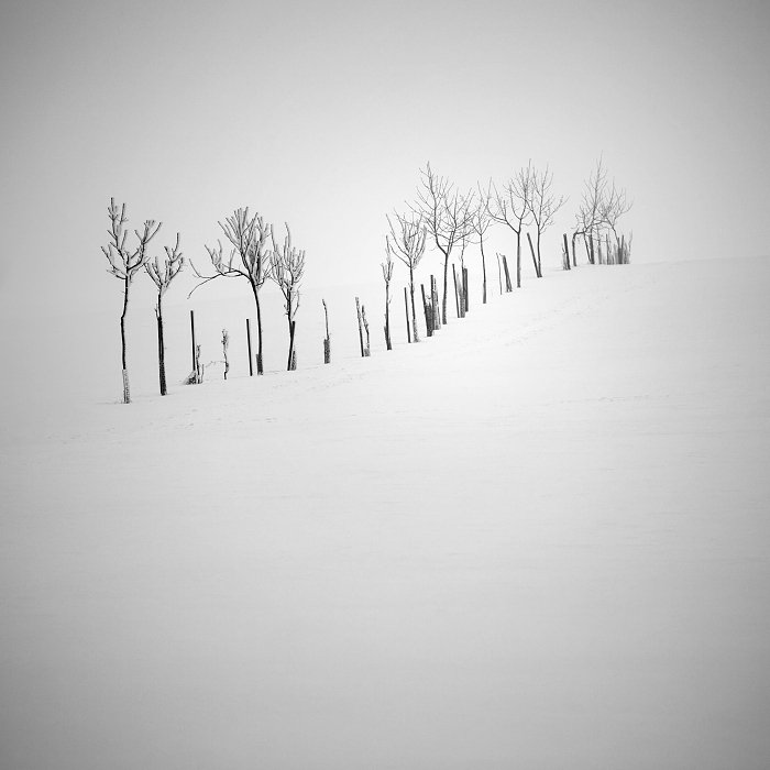 B&w, Czech republic, Fog, Minimalism, Mountains, Ore mountains, Snow, Trees, Winter, Workshop, Daniel Řeřicha