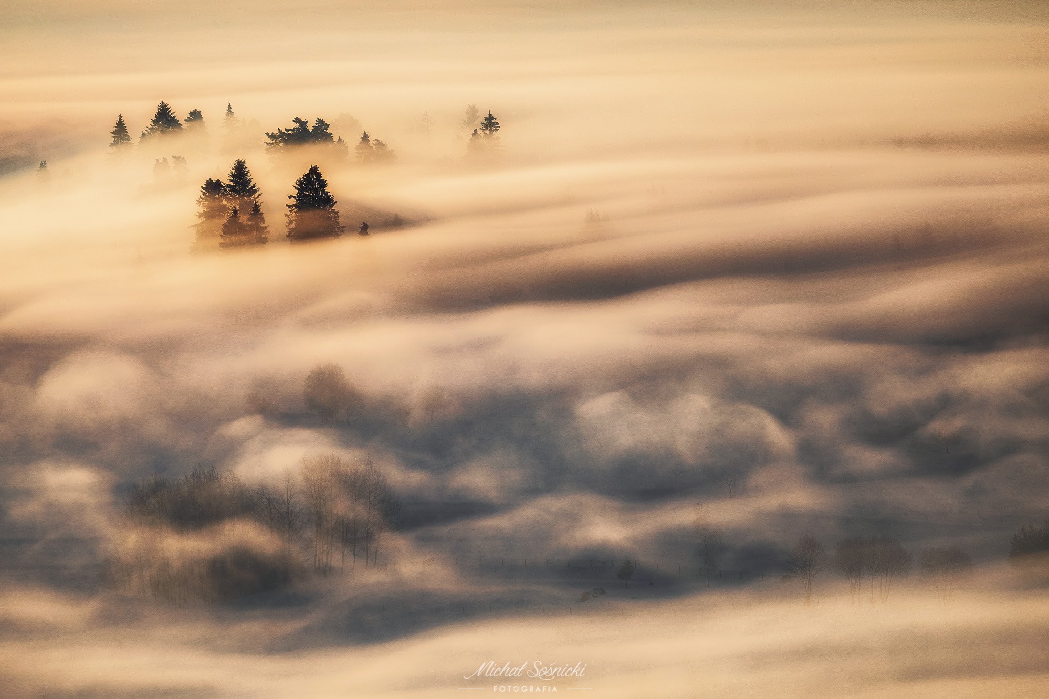 #fog #foggy #morning #day #poland #nature #amazing #benro #benq #pentax, Michał Sośnicki