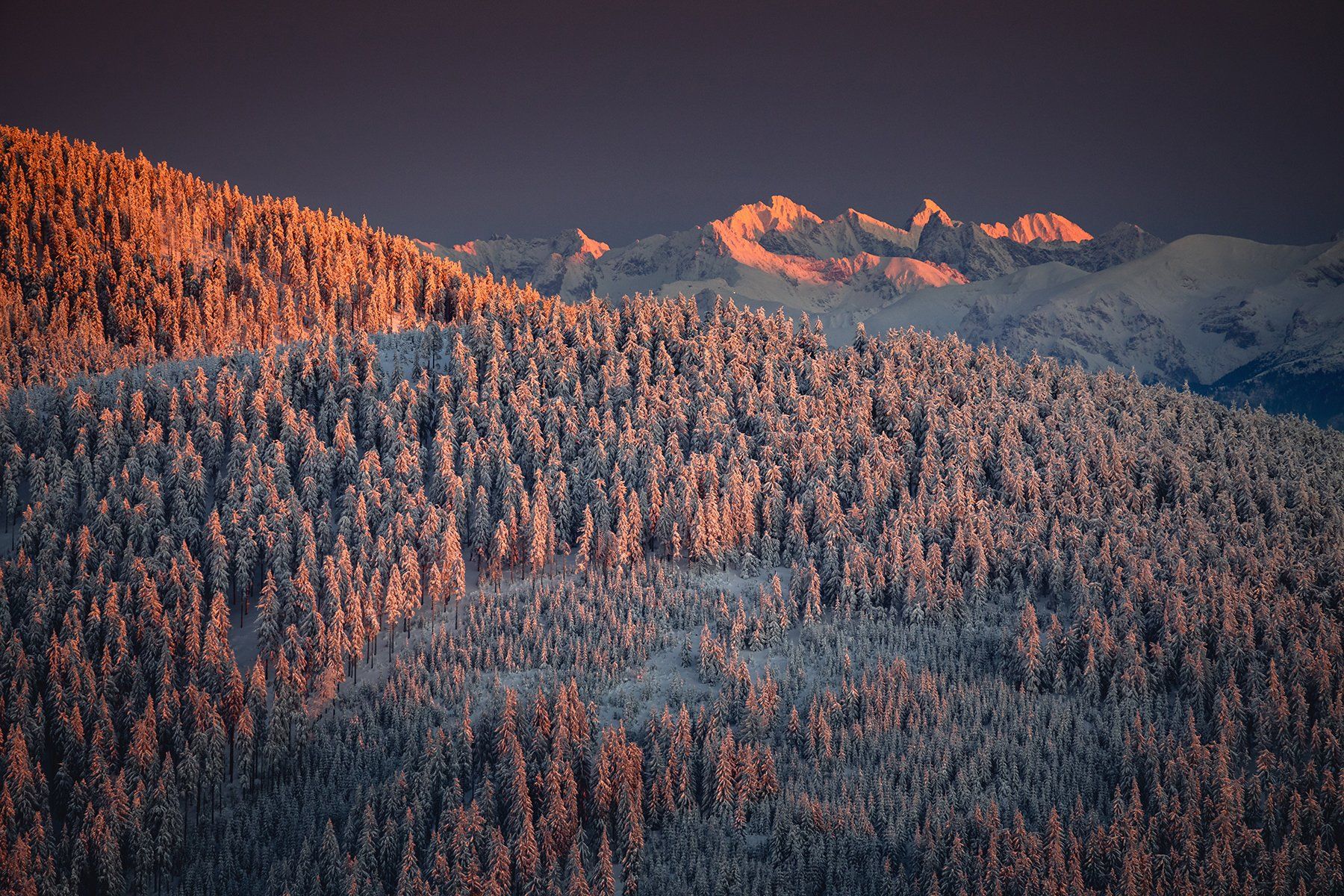 mountains, winter, poland, slovakia, sunset, Michał Kasperczyk