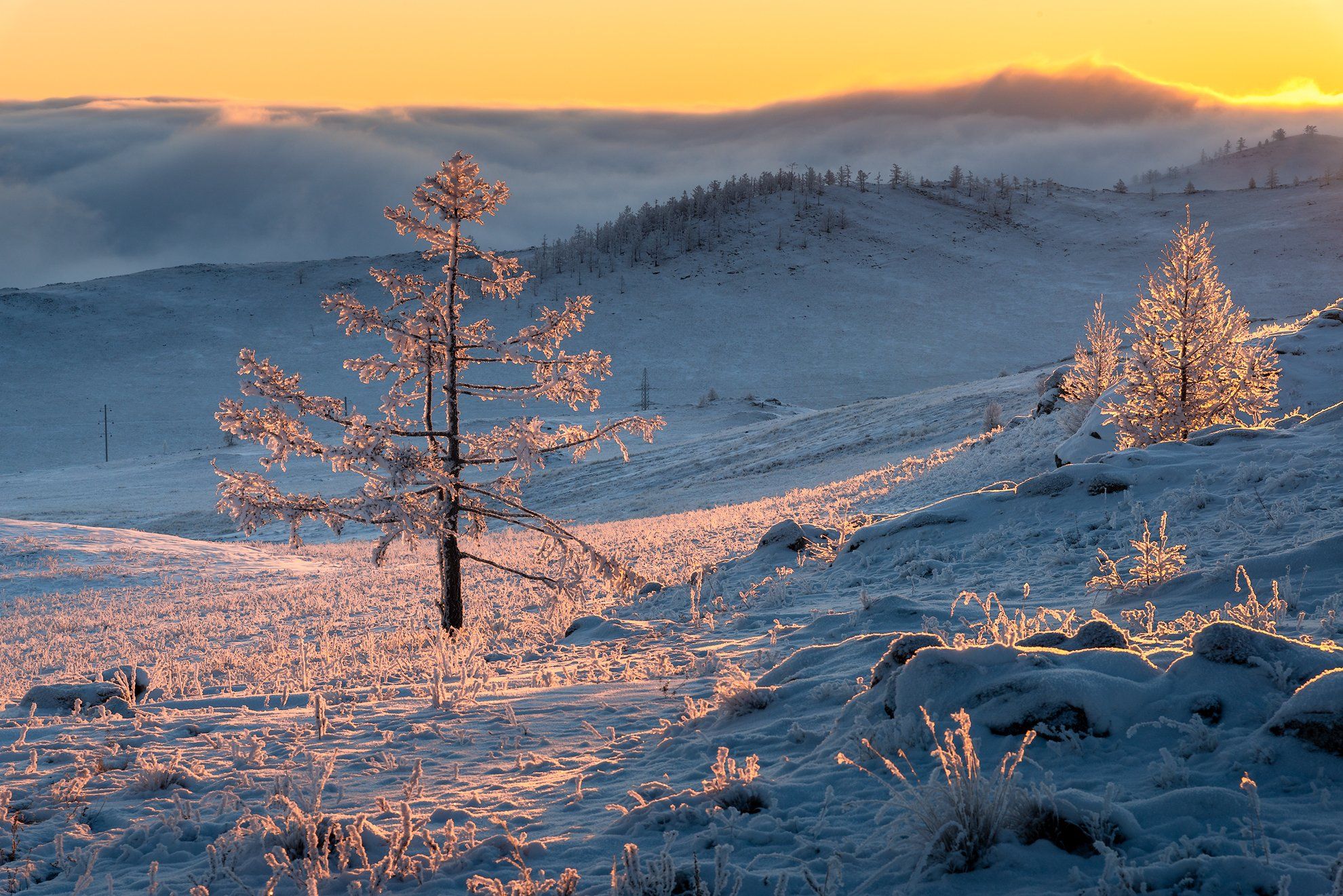 зима, снег,  рассвет, туман, тажеранская степь, Алексей Чекалев