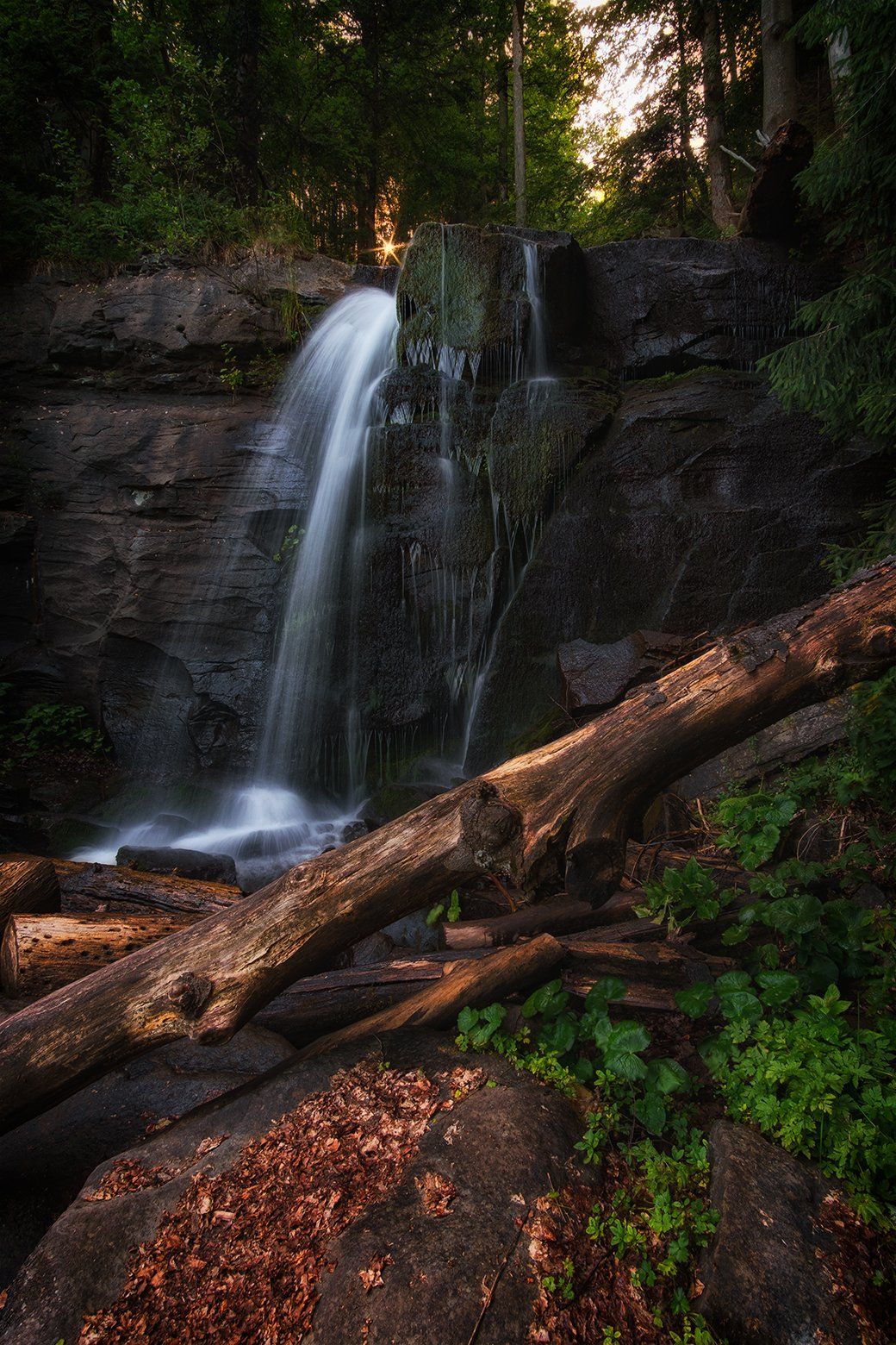 пейзаж, водопад, вода, лес, лето, карпаты, landscape, waterfall, water, forest, summer, karpaty, Stanislav Yendrek