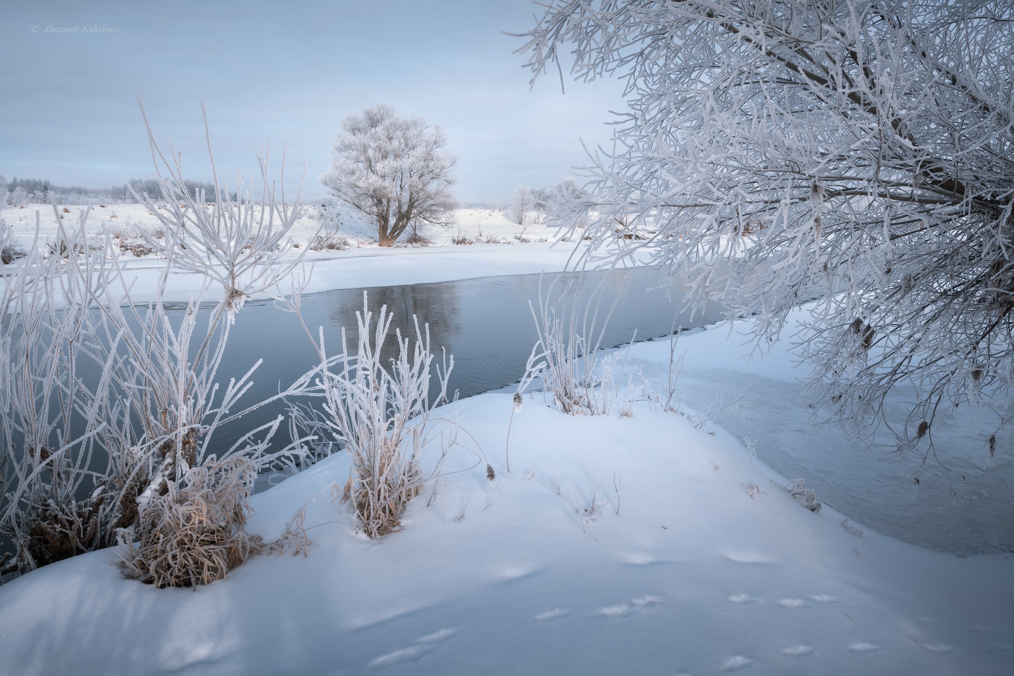 зима, пейзаж, угра, Александр Кукринов